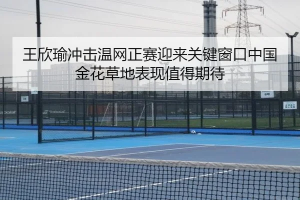 王欣瑜冲击温网正赛迎来关键窗口中国金花草地表现值得期待